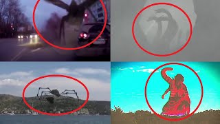 5 Godzilla Characters Caught on Camera amp Spotted in Real Life 3 [upl. by Adianes]