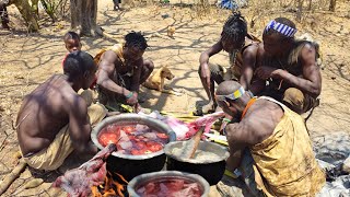 Hadzabe Tribe Hunt KlipSpringer For LunchHunters Ways Of Life [upl. by Ennaus]