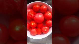 How to get Skin off Frozen Tomatoes No Blanching 🍅 beerising tomatoes frozentomatoes health [upl. by Thorma973]