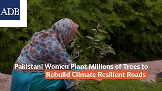 Pakistani Women Plant Millions of Trees to Rebuild Climate Resilient Roads [upl. by Hock]