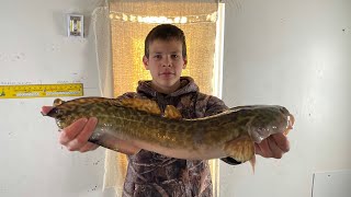 Easiest way to Clean An Eelpout Cooking and Cleaning How to Step By Step [upl. by Adnamor959]