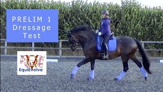 Learn The Prelim 1 2006 Dressage Test [upl. by Edithe]