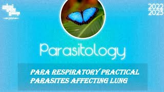 pract Paragonimushouse dust mite amp echinococcus granulosus amp larva affecting lung parasitology [upl. by Lazaro438]