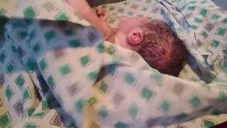 newborn baby came with vernix umbilical cord cutting process and cleaning with oil [upl. by Goodwin]