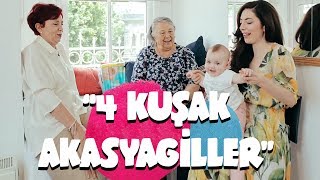 4 KUŞAK AKASYAGİLLER [upl. by Sparks773]