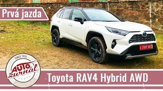 Toyota RAV4 Hybrid 2WD4WD 2019 TEST [upl. by Curhan]