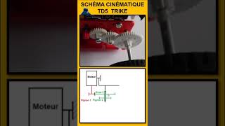 SCHÉMA CINÉMATIQUE TD5 SHORT Trike [upl. by Eittik769]