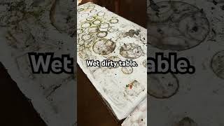 I found a wet dirty table Video of the preparation to dry soon on my channel [upl. by Florentia]