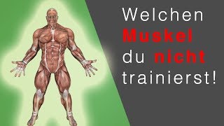 RUDERGERÄT TRAINING Dieser Muskel wird NICHT trainiert… OMG [upl. by Rodmann609]