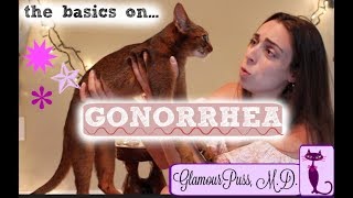 My cat explains Gonorrhea [upl. by Rider]