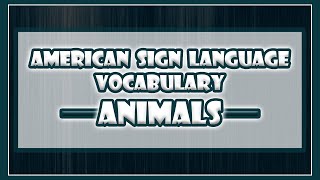 Various Animals in ASL [upl. by Anitnuahs]