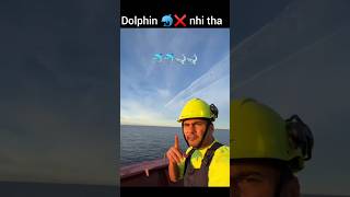 Wo Dolphins nhi tha dosto❌🙏😱😅msc ship wheels dolphin shark youtubeshorts viralvideo trending [upl. by Ledif]