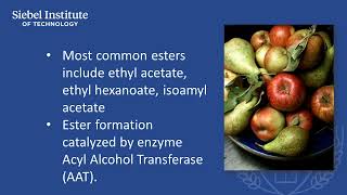 Isoamyl Acetate [upl. by Kravits]