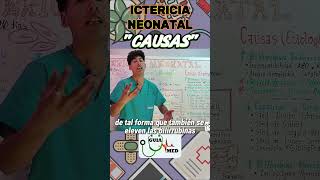 ICTERICIA NEONATAL CAUSAS  GuiaMed pediatria medicina ictericia [upl. by Ttcos736]