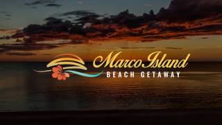 Apollo 910 Beachfront Weekly Vacation RentalsMarcoIslandBeachGetawaycom [upl. by Sevart]