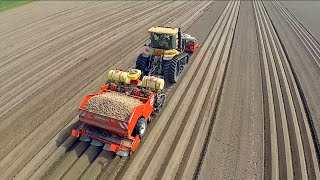 Potato Planting  Challenger MT 765D  Dewulf Miedema planter  Veerman Goudswaard [upl. by Rutherford]