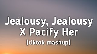 Jealousy Jealousy X Pacify Her tiktok mashup Lyrics [upl. by Atoel]