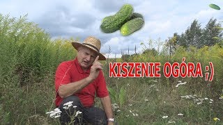 Kiszenie ogórków domowym sposobem [upl. by Crudden]