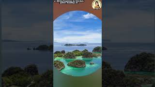 RAJA AMPAT [upl. by Stclair]