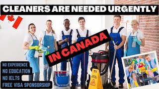 Cleaning Jobs In Canada With Free Visa Sponsorship In 2023  No Education No Experience Required [upl. by Edita508]