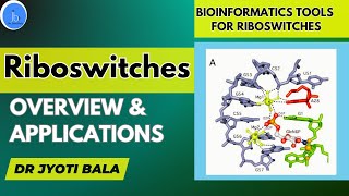 Riboswitches Overview amp Application Role of Bioinformatics in Riboswitch research for Biotech [upl. by Esylle]