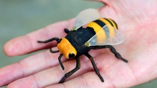 GIGANTIC WASP [upl. by Myrah]