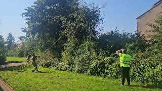 Brandweer bevrijdt duif uit benarde positie [upl. by Ambler]