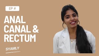 Learn About The Anatomy Of The Anal Canal And Rectum In This Educational Video [upl. by Azaria]