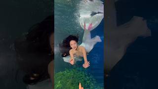 Real Mermaid Video on YouTube  kya sach main jalpariya hoti hain😯😍💗🤍shortvideo trending shorts [upl. by Eeryt]