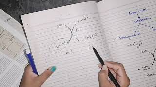 Transamination amino acid Catabolism biochemistry [upl. by Ardine]