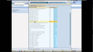 Creating our first report program in SAP  Day 4 [upl. by Harelda]