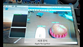 Raspberry Pi  Google Coral Object Detection [upl. by Nananne992]