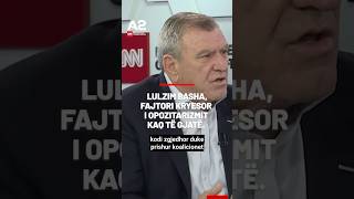 Lulzim Basha është fajtori kryesor i opozitarizmit kaq të gjatë Nuk është faji i Berishës [upl. by Nnairahs929]