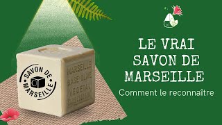 Fabrication du vrai SAVON DE MARSEILLE ⭐🌱 [upl. by Silin555]