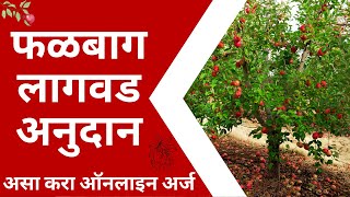 Bhausaheb Fundkar Falbag Yojana 2022 असा करा ऑनलाइन अर्ज  Falbag Yojana Maharashtra [upl. by Tychonn867]