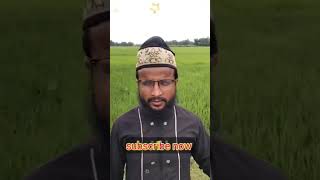 Kafon Amar apon kobor Amar khatibangla new short gojol 2024 [upl. by Cornwell485]