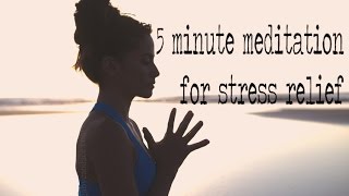 5 Minute Guided Meditation for Stress Relief [upl. by Musette]