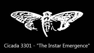 Cicada 3301  quotThe Instar Emergencequot [upl. by Enayr]