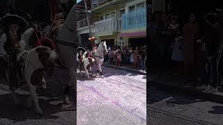 poni en desfile de Independencia [upl. by Temme]