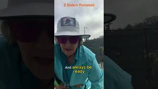 Pickleball Ball Pickup Issue Ballzies the Solution [upl. by Negyam]