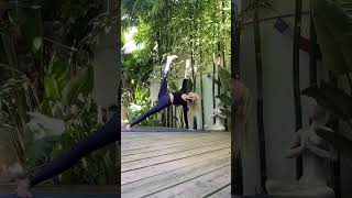 Vasisthasana to hanumanasana [upl. by Hurley]