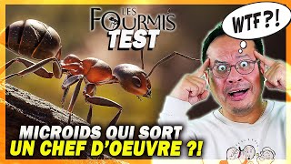 Jai fini Les Fourmis  lun des plus beaux et surprenants jeux de lannée  TEST  GAMEPLAY 4K [upl. by Nwahsid802]