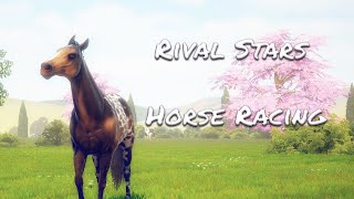 Rival Stars Horse Racing Новая система тренировок повышение стоимости лошадей Жеребенок 6 звезд [upl. by Atinrahs]