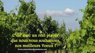 MEILLEURS VOEUX 2023 NATURE  CARTE VIRTUELLE VIDEO GRATUITE [upl. by Suoirtemed501]