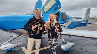 Cirrus SR22T Puppy Rescue Flight with Mom [upl. by Davison]