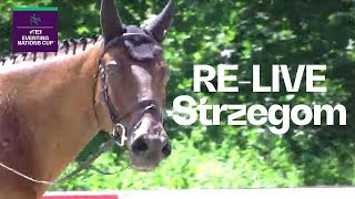 RELIVE  Dressage  Strzegom POL  FEI Eventing Nations Cup™ [upl. by Aokek]