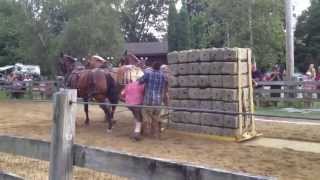 Stratham Fair 2013 Horse Pull [upl. by Ylle27]