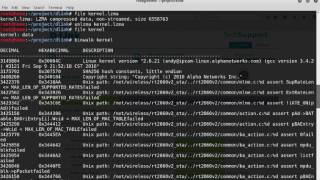 Introduction to Firmware Reversing [upl. by Elleoj559]