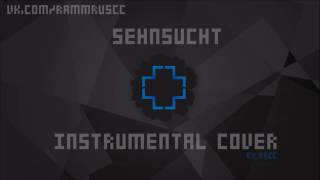 Rammstein  Sehnsucht instrumental cover [upl. by Georgeta]