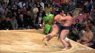 琴奨菊 vs 栃ノ心 2015 大相撲九州場所2日目 Kotoshogiku vs Tochinoshin 2015 Nov SUMO [upl. by Niel782]